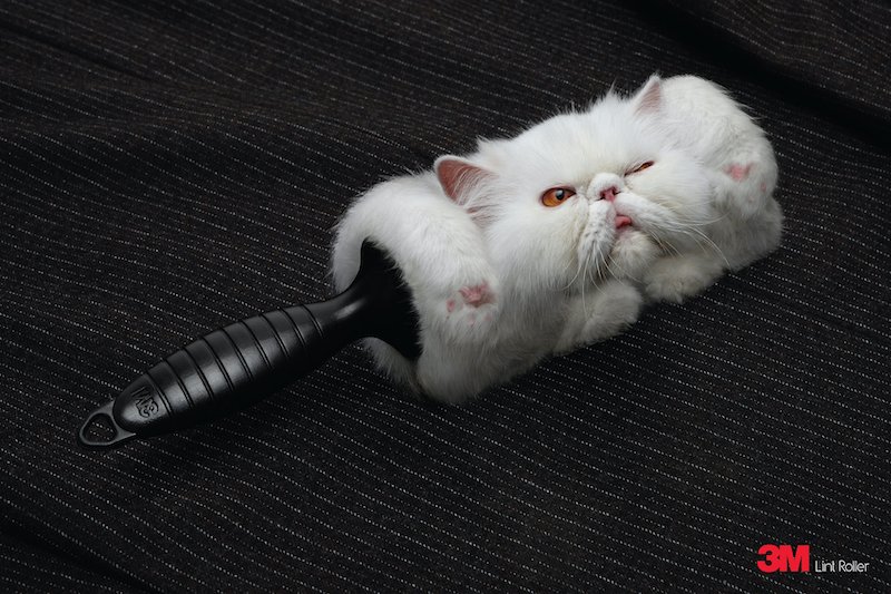 3m lint roller cat ad