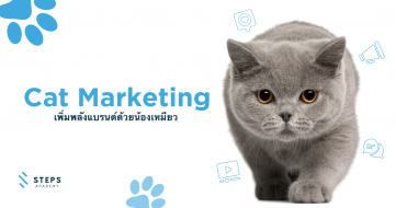 Cat Marketing เพิ่มพลังแบรนด์ด้วยน้องเหมียว