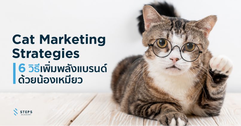 Cat Marketing 6 วิธีเพิ่มพลังแบรนด์ด้วยน้องเหมียว