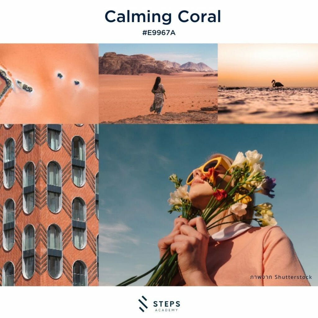 สีส้มโทน calming coral color 2022