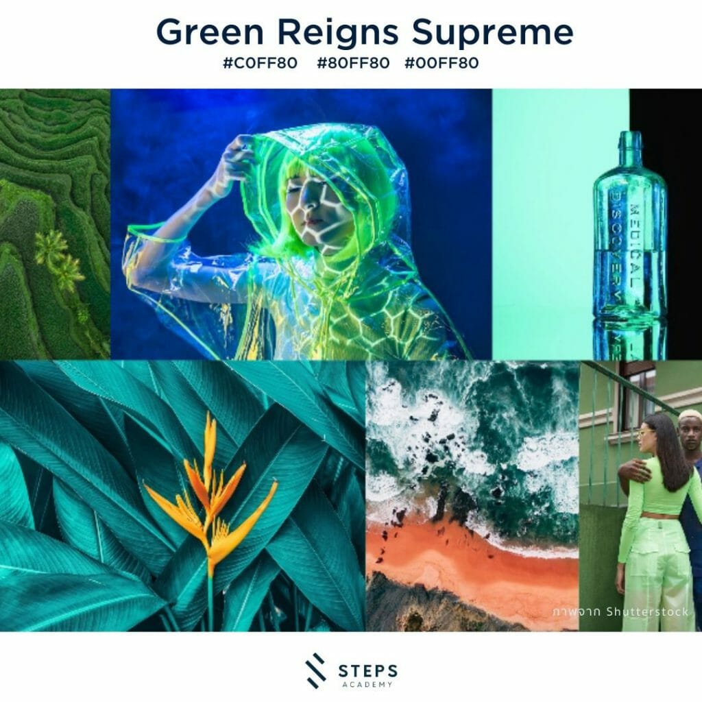 สีเขียวโทน green reigns supreme 2022