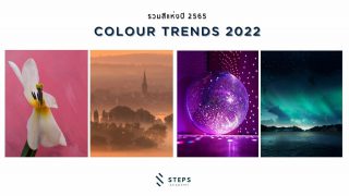 เทรนด์สีแห่งปี 2022 จาก Shutterstock